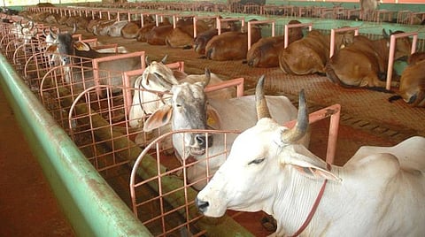 கோப்புப்படம்