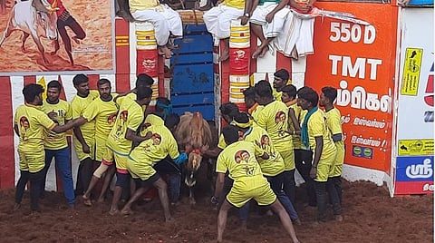 அலங்காநல்லூர் ஜல்லிக்கட்டு