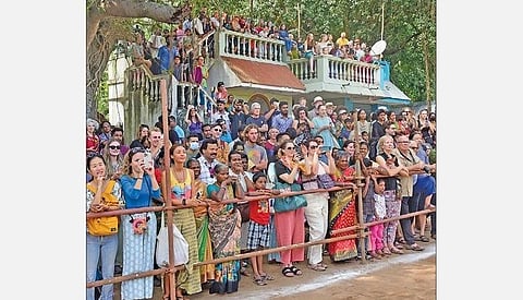 ஆரோவில் குயிலாப்பாளையத்தில் நடந்த மஞ்சு விரட்டை காண வந்த வெளிநாட்டினர் மற்றும் அப்பகுதி மக்கள்.