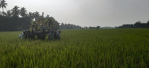 தஞ்சை: உயிரிழந்தவர்களின் உடலை விளைநிலங்கள் வழியாக தூக்கிச் செல்லும் அவலம்: மாற்றுப் பாதை கோரும் கிராம மக்கள்
