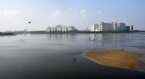 அடையாறு ஆற்றின் முகத்துவாரம்