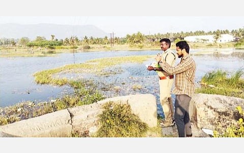 திருப்பத்தூர் மாவட்டத்தில் நீர்நிலை பறவைகள் குறித்த கணக்கெடுப்பு பணியில் ஈடுபட்ட வனத்துறையினர்.
