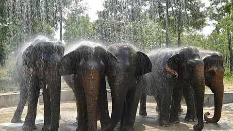 கோப்புப்படம்