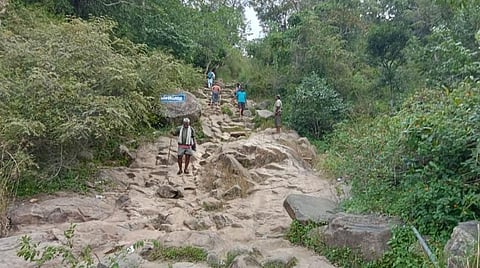 தை மாத பவுர்ணமி வழிபாடு | சதுரகிரி கோயிலுக்குச் செல்ல பிப்ரவரி 3 முதல் நான்கு நாட்கள் அனுமதி