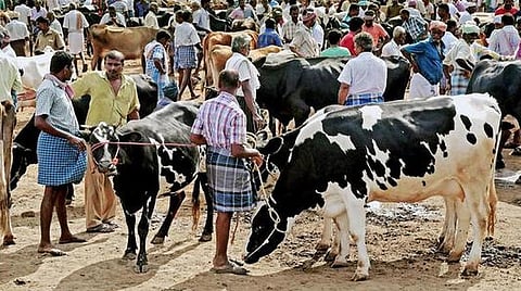 பிரதிநிதித்துவப் படம்