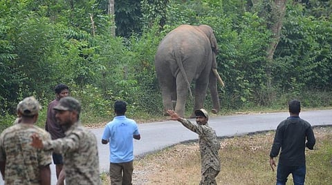 பிரதிநிதித்துவப் படம்