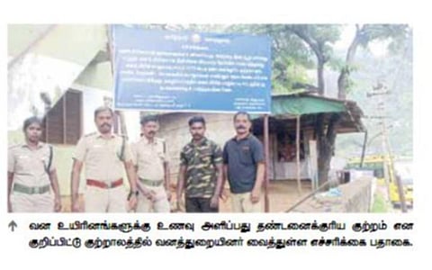 குரங்குகளுக்கு உணவளிப்பது தண்டனைக்குரிய குற்றம்: குற்றாலத்தில் வனத்துறை எச்சரிக்கை பதாகை