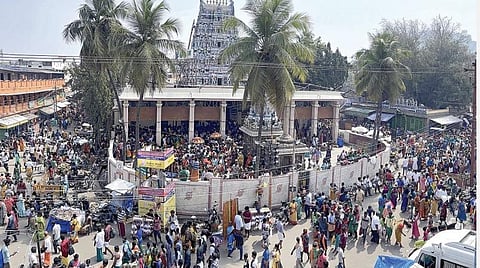 தைப்பூசத் திருவிழாவையொட்டி பழநி திருஆவினன்குடி கோயில் பகுதியில் திரண்டிருந்த பக்தர்கள். | படம்:ஆ.நல்லசிவன் |