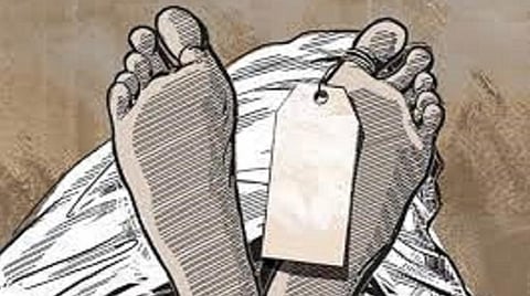 தென்காசி | பன்றிகள் தாக்கி இளைஞர் மரணம்