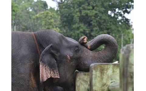 பிரதிநிதித்துவப் படம்
