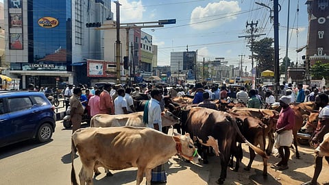 போராட்டத்தில் ஈடுபட்ட உரிமையாளர்கள்