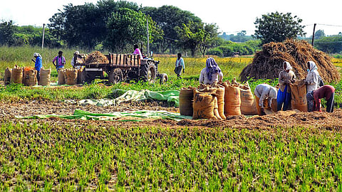 நாடு முழுவதும் 2 லட்சம் தொடக்க வேளாண்மை கடன் சங்கங்கள் அமைக்க மத்திய அமைச்சரவை ஒப்புதல்