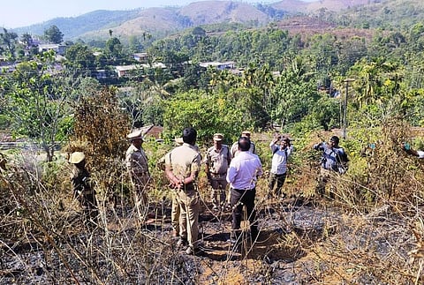 காட்டுத் தீ ஏற்பட்ட பகுதியை பார்வையிடும் வனத்துறையினர்