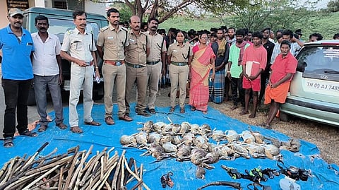 விருதுநகர் | கோயிலில் பலியிட வன விலங்குகளை வேட்டையாடிய கிராமத்தினர் - 30 முயல்கள், கீரிகள் பறிமுதல்