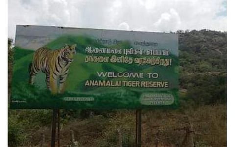 உடுமலை, அமராவதி வனப்பகுதியில் இருந்து உணவு, தண்ணீருக்காக இடம் பெயரும் விலங்குகள்