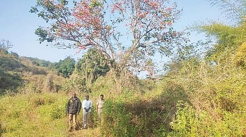 ஆம்பூரில் பறவைகள் கணக்கெடுப்பு பணியில் ஈடுபட்ட வனத்துறையினர்.