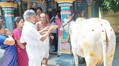பெரணமல்லூர் அடுத்த இஞ்சிமேடு வரதராஜ பெருமாள் கோயிலில் கோ பூஜை செய்த திரைப்பட இயக்குநர் எஸ்.ஏ.சந்திரசேகர்.