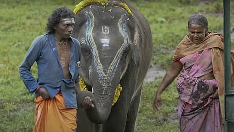 ஆஸ்கர் விருதை வென்றது இந்தியாவின் ‘தி எலிஃபன்ட் விஸ்பரர்ஸ்’