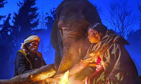 தி எலிஃபன்ட் விஸ்பரர்ஸ் ஆவணப்படத்தின் நாயகர்கள் முதுமலை தம்பதி பொம்மன், பெள்ளி