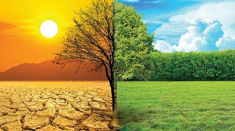 சொல்… பொருள்… தெளிவு | தமிழ்நாடு காலநிலை மாற்ற நிர்வாகக் குழு