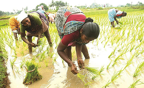 தமிழ்நாடு பட்ஜெட் 2023 எதிர்பார்ப்புகள் | மகளிர் மேம்பாடும் அரசின் திட்டங்களும்