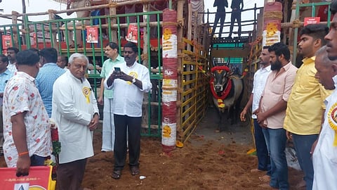 தருமபுரி அருகே சோகத்தூர் டிஎன்சி மைதானத்தில் ஜல்லிக்கட்டு நிகழ்ச்சி.