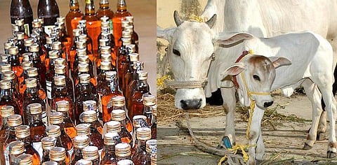 பிரதிநிதித்துவப் படம்