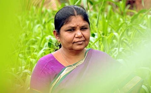 கே.பாலபாரதி, முன்னாள் எம்.எல்.ஏ