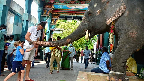 பிரதிநிதித்துவப் படம்
