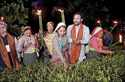 மேற்குவங்கம் சிலிகுரியில் நடந்த  ஜி20 கூட்டத்தில் நேற்று பங்கேற்ற மத்திய சுற்றுலாத்துறை அமைச்சர் கிஷண் ரெட்டி, நேற்று இரவு அங்குள்ள தேயிலை தோட்டத்தை பார்வையிட்டார்.