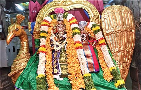 திருப்பரங்குன்றம் பங்குனித் திருவிழாவில் தங்க மயில் வாகனத்தில் எழுந்தருளிய சுப்பிரமணிய சுவாமி, தெய்வானை.
