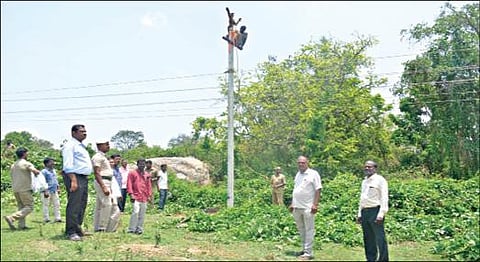 கிருஷ்ணகிரி அருகே ஏக்கல் நத்தம் வனப்பகுதியில் தாழ்வாகச் செல்லும் மின் கம்பிகளின் உயரத்தை உயர்த்தும் பணியில் ஈடுபட்ட மின்வாரிய மற்றும் வனத்துறை ஊழியர்கள்.