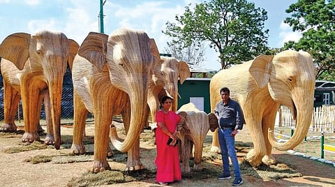 முதுமலை தெப்பக்காடு முகாமில் காட்சிப்படுத்தப்பட்டுள்ள, உண்ணிச் செடிகளால் ஆன யானை உருவங்கள் முன்பு நின்று புகைப்படம் எடுத்து மகிழ்ந்த சுற்றுலா பயணிகள் .