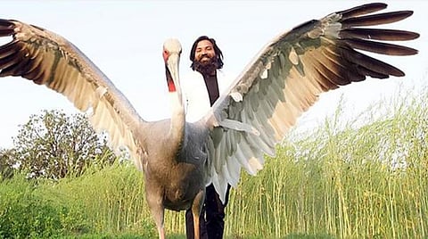 சரஸுடன் ஆரிஃப்