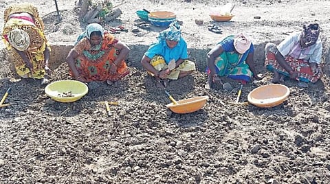 திருவள்ளூர் அருகே பட்டரைபெரும்புதூரில் தொல்லியல் துறை சார்பில் நடந்து வரும் 3-ம் கட்ட அகழாய்வுப் பணி.