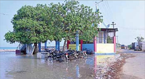 தூத்துக்குடியில் 60 அடி தூரம் கரையை தாண்டிய கடல்