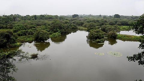 இந்தியாவின் சதுப்பு நிலங்கள் எண்ணிக்கை 75 ஆக உயர்வு