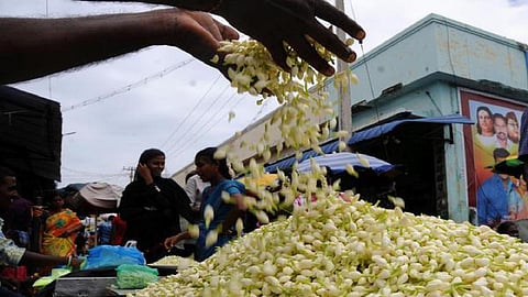 மதுரை மல்லிகைப்பூ சீசன் தொடங்கியது: ஒரே நாளில் 20 டன் பூக்கள் வரத்தால் விலை சரிவு