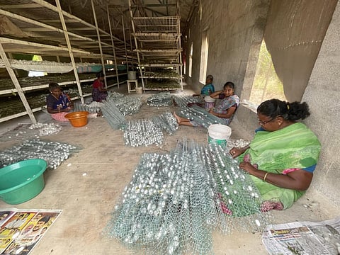 திண்டுக்கல்லில் பட்டுக்கூடு விற்பனை அங்காடியை தொடங்க வேண்டும்: பட்டுப்புழு வளர்ப்பு விவசாயிகள்