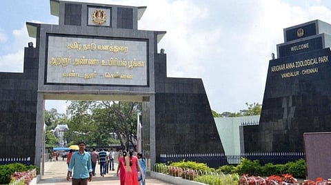 வண்டலூர், கிண்டி பூங்காக்கள் இன்று திறந்திருக்கும்