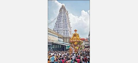 திருச்சானூரில் பத்மாவதி தாயார் நேற்று தங்க தேரில் பவனி வந்து அருள் பாலித்தார்.
