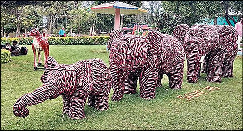 சேலம் தோட்டக்கலைத்துறை சார்பில் பரங்கிகாய்களால் வடிவமைக்கப்பட்ட தேர். (அடுத்த படம்) கத்தரிக்காய்களால் உருவாக்கப்பட்ட யானை குடும்பம்.படங்கள்: ஆர்.டி.சிவசங்கர்﻿﻿