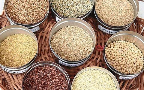 சிறு தானியங்கள் | கோப்புப் படம்
