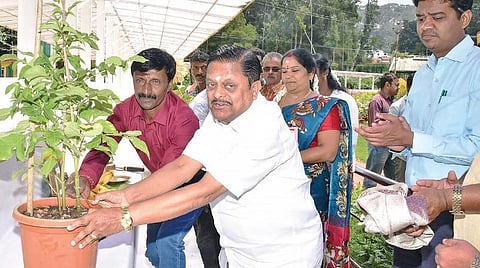 உதகை தாவரவியல் பூங்கா காட்சி மாடத்தில் மலர் தொட்டிகள் அடுக்கும் பணியை தொடங்கிவைத்த சுற்றுலாத்துறை அமைச்சர் ராமச்சந்திரன்.
படம்: ஆர்.டி.சிவசங்கர்