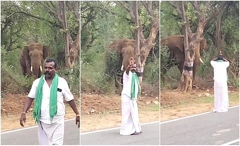 அச்சமின்றி ஒற்றை யானை அருகே சென்று சேட்டை - வைரலாகும் போதை சுற்றுலா பயணியின் வீடியோ