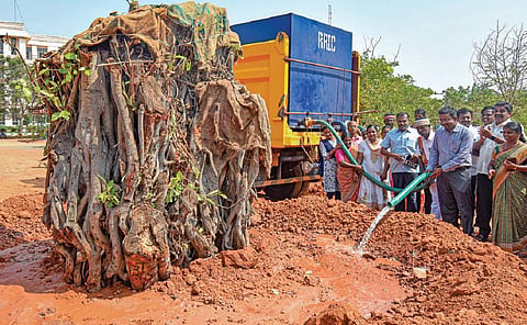 தஞ்சாவூர் ஆட்சியர் அலுவலகத்தில் நேற்று நடப்பட்ட பழமையான ஆலமரத்துக்கு தன்ணீர் ஊற்றும் ஆட்சியர் தினேஷ் பொன்ராஜ் ஆலிவர். படம்: ஆர்.வெங்கடேஷ்