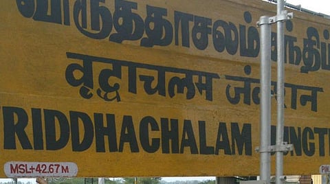 விருத்தாசலம் அருகே டாஸ்மாக்கில் வாங்கிய மதுபாட்டிலில் பல்லி?