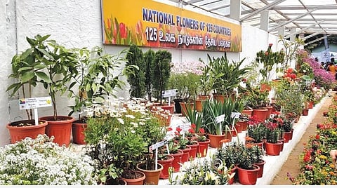 உதகை தாவரவியல் பூங்காவில் காட்சிக்கு வைக்கப்பட்டுள்ள 125 நாடுகளின் தேசிய மலர்கள் . படம்: ஆர்.டி.சிவசங்கர்
