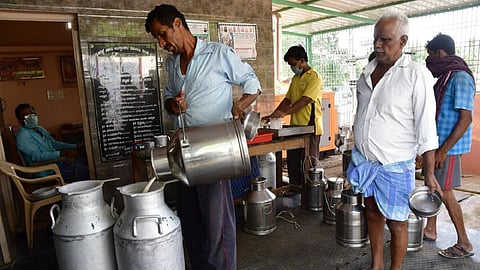 பால் கொள்முதல் விலையை உயர்த்தி ஆவின் நிறுவனத்தை காக்க வேண்டும்: ஓபிஎஸ்
