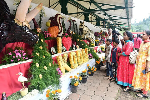 கொடைக்கானல் மலர் கண்காட்சி